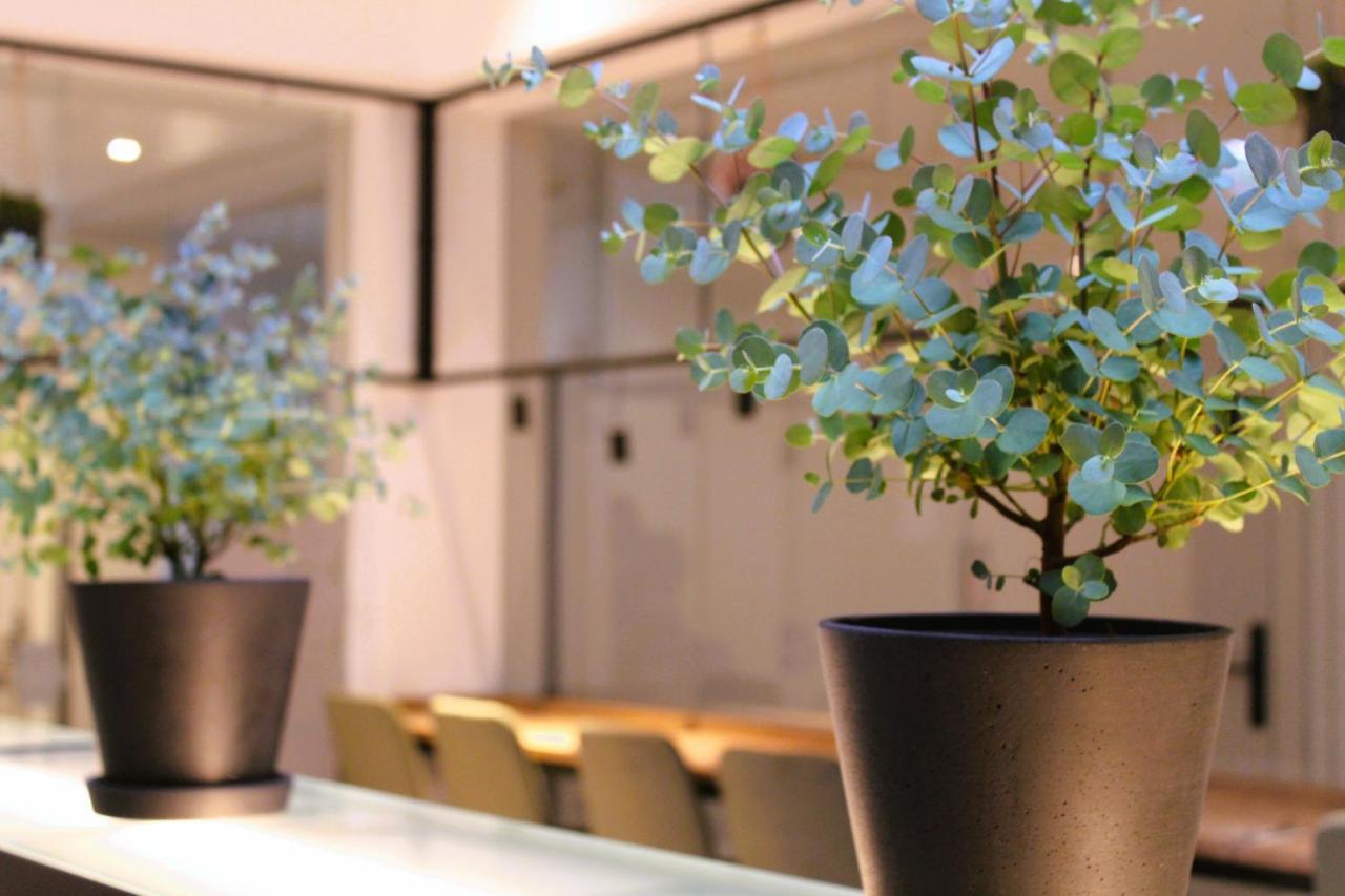 Bee Green Linz Self-Check-In-Hotel Экстерьер фото